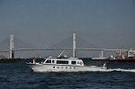 Dcim12301/DSC_3223