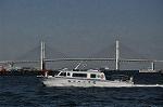 Dcim12301/DSC_3224