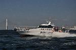 Dcim12302/DSC_3336