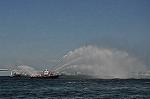 Dcim12303/DSC_3352