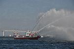 Dcim12303/DSC_3381