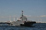 Dcim12303/DSC_3390