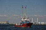 Dcim12303/DSC_3433