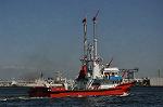 Dcim12303/DSC_3451