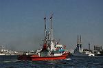 Dcim12303/DSC_3454