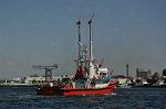 Dcim12303/DSC_3456