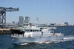 Dcim12306/DSC_3631