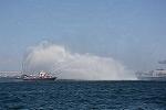 Dcim12307/DSC_3884