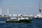 Dcim12307/DSC_3903