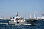 Dcim12308/DSC_4012