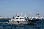 Dcim12308/DSC_4013
