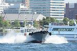 Dcim12309/DSC_4188