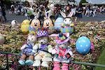 Dcim12321/DSC_5132
