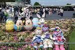 Dcim12321/DSC_5136