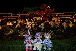 Dcim12332/DSC_6917