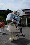 Dcim12335/DSC_7334