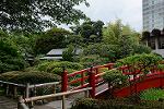 Dcim12340/DSC_8032