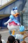 Dcim12349/DSC_8949