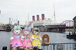Dcim12355/DSC_9742