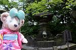 Dcim12359/DSC_0251