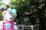 Dcim12359/DSC_0265