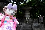 Dcim12359/DSC_0273