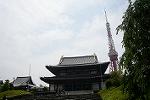 Dcim12360/DSC_0343