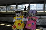 Dcim12362/DSC_0543