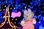 Dcim12368/DSC_1285