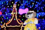 Dcim12368/DSC_1305