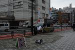 Dcim12369/DSC_1343