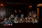 Dcim12372/DSC_1664