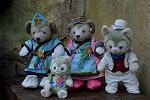 Dcim12372/DSC_1681