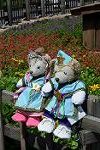 Dcim12372/DSC_1725