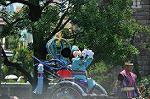 Dcim12376/DSC_4556