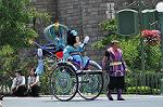 Dcim12376/DSC_4558