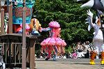Dcim12376/DSC_4638