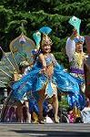 Dcim12377/DSC_4661