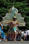 Dcim12377/DSC_4675