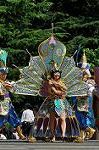Dcim12377/DSC_4677