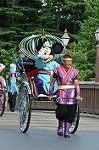 Dcim12377/DSC_4768
