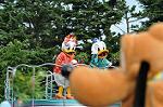 Dcim12378/DSC_4801