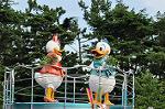 Dcim12378/DSC_4808