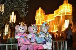 Dcim12378/DSC_4832