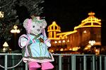 Dcim12378/DSC_4864