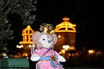 Dcim12378/DSC_4893