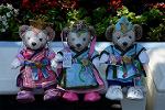Dcim12379/DSC_2195