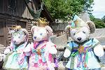 Dcim12382/DSC_2593