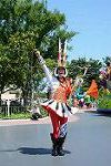 Dcim12382/DSC_2662