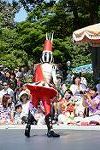 Dcim12382/DSC_2667